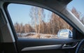 View from the car to the winter birch forest Royalty Free Stock Photo