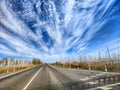 The view from the car window at the trunks of dead birches on the side of the road and the blue sky with white clouds Royalty Free Stock Photo