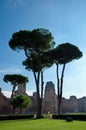 View of Caracalla springs with grassland and trees vertical at R Royalty Free Stock Photo