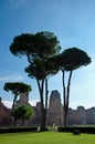 View of Caracalla springs with grassland and trees vertical at R