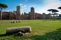View of Caracalla springs ruins from grounds with column at Rome