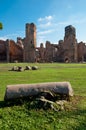 View of Caracalla springs ruins from grounds with column at Rome Royalty Free Stock Photo