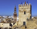 View of Carmona seen from the Alcazar,