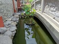 The view of a carved bridge with a lotus pond on the side is complemented by stone decorations Royalty Free Stock Photo