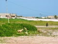 View of the casablanca countryside in morocco