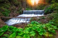 View of cascede near Bride`s Veil / Valul Miresei Waterfall Royalty Free Stock Photo