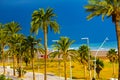 View on Castelldefel beach and palm trees