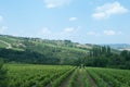 View from Castellina in Chianti, Tuscany Royalty Free Stock Photo