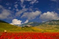 View of Castelluccio di Norcia village during the flowering of poppies Royalty Free Stock Photo