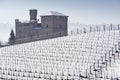 View of the Castle of Grinzane Cavour in winter with snow Royalty Free Stock Photo