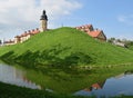 View of the castle and moat from the river.