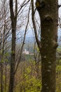 Ruin of Topolcany castle surrounded by trees