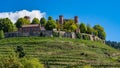 View of the castle Ortenberg surrounded by vineyards_Ortenberg, Baden Wuerttemberg, Germany Royalty Free Stock Photo