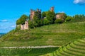 View of the castle Ortenberg surrounded by vineyards_Ortenberg, Baden Wuerttemberg, Germany Royalty Free Stock Photo