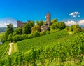 View of the castle Ortenberg surrounded by vineyards_Ortenberg, Baden Wuerttemberg, Germany Royalty Free Stock Photo