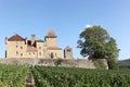 Castle of Pierreclos in Burgundy, France