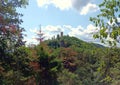 Castle ruin Scharfenberg in palatinate forest, germany