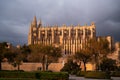 View of Cathedral-Basilica de Santa Maria de Mallorca, Palma, Spain