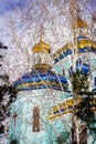 View of the cathedral through the birch branches