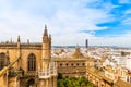 View of the Cathedral and the city of Seville from the Giralda in Andalusia, Spain