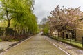 A view from the Cathedral Precinct towards the Necropolis in Glasgow Royalty Free Stock Photo