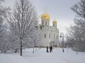 View of the Catherine Cathedral february day. Tsarskoye Selo