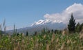 View of the Cayambe volcano from the town of Olmedo in the province of Cayambe during a sunny morning