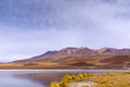 View of the CaÃÂ±apa Lake in Bolivia