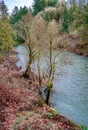 Renton Winter River 5 Royalty Free Stock Photo
