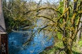 Cedar River In Renton 8