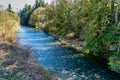 Cedar River In Renton 5