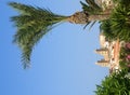 View of Cefalu Royalty Free Stock Photo