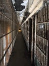 View of a cell block hallway at Mansfield prison