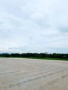 view of cement road, rice fields, and clear blue sky Royalty Free Stock Photo