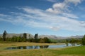 View of central fells over Wise Een Tarn on Claife Heights