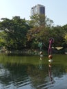 The view in the Central Park Kaohsiung, Taiwan