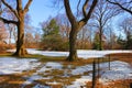 View of the Central Park, New York City, during winter