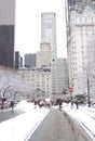 View of Central park after a snow storm