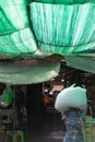 The view of the central market in Phnom phen