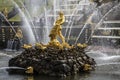 View of the central sculpture of the Big Fountain `Samson Tearing the Lion`s Mouth` in the lower park of the Peterhof State Mus Royalty Free Stock Photo