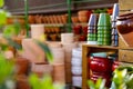 View of ceramic flower pots in the horticultural market