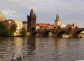 View of Charles bridge over Vltava river in Prague with two swans in front