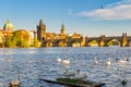 View on Charles bridge and Swans on Vltava river in Prague at sunset, Czech Republic