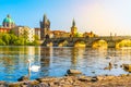 View on Charles bridge and Swans on Vltava river in Prague at sunset, Czech Republic