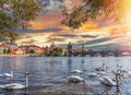 View on Charles bridge and Swans on Vltava river Royalty Free Stock Photo