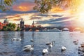 View on Charles bridge and Swans on Vltava river Royalty Free Stock Photo