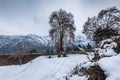 View of chashma shahi in winter season, Chashme Shahi is one of the Mughal gardens, srinagar, kashmir, India