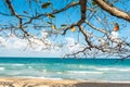 View of Chaweng Noi beach at Koh Samui Thailand