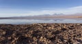 A view of Chaxa saltflat at sunset Royalty Free Stock Photo