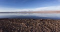 A view of Chaxa saltflat at sunset Royalty Free Stock Photo